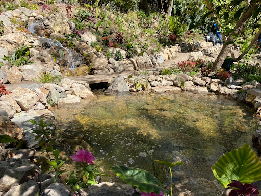 DreamScapes Water Features & Landscape image