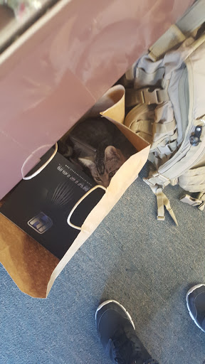 Sporting Goods Store «Airsoft Outlet NW», reviews and photos, 1900 E Baseline St, Cornelius, OR 97113, USA