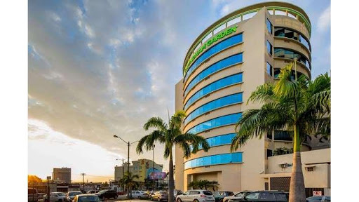 Vertical garden Guayaquil