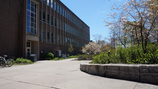 Department of Sociology , University of Toronto