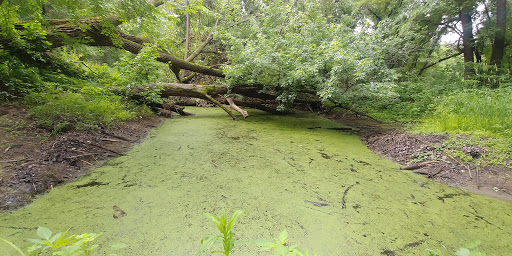 Nature Preserve «Crosby Farm Regional Park», reviews and photos, 2595 Crosby Farm Rd, St Paul, MN 55116, USA
