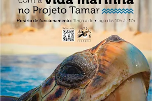 Fundação Projeto Tamar - Aracaju image