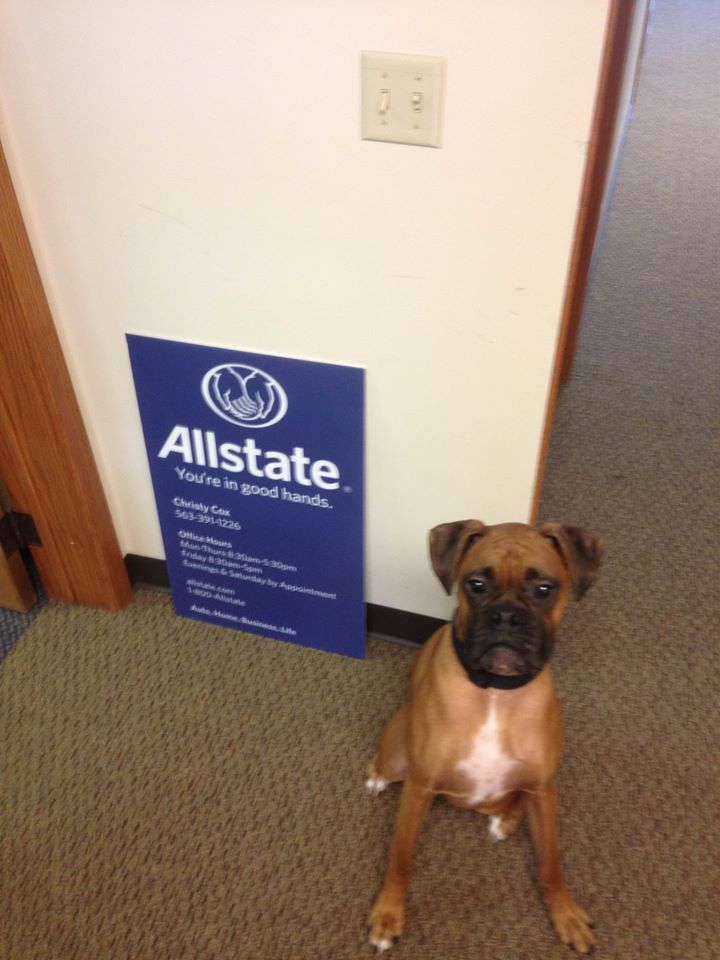 Christy Cox Allstate Insurance