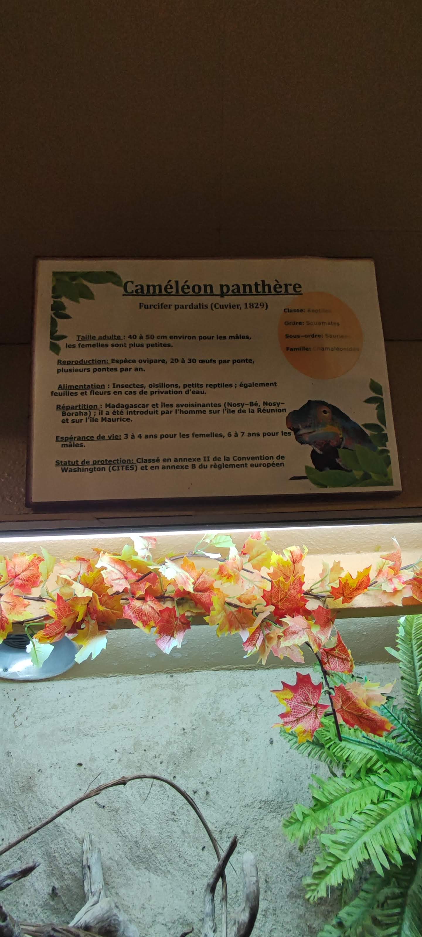 Photo n° 32 de l'avis de Yannick.o fait le 11/02/2023 à 16:29