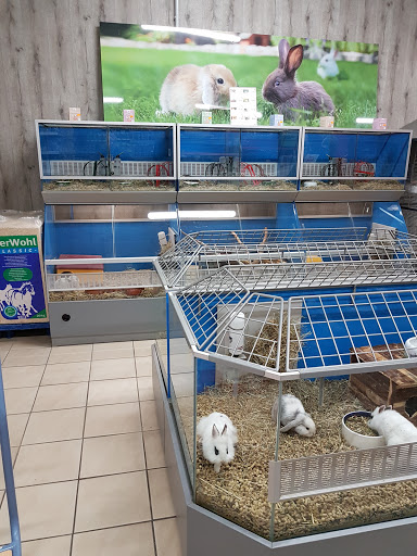 Zoo & Co. Pavlovic unter Nordenham, 