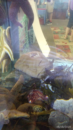 Aquarium «Explore the Ocean World, llc Oceanarium», reviews and photos, 367 Ocean Blvd, Hampton, NH 03842, USA