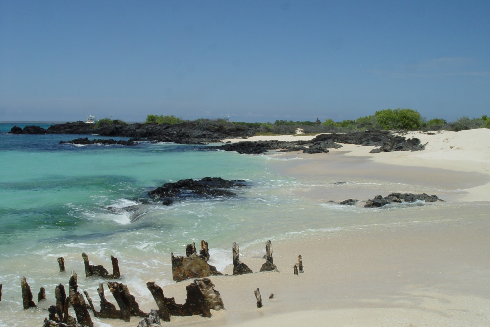 Foto de Playa Las Bachas área selvagem