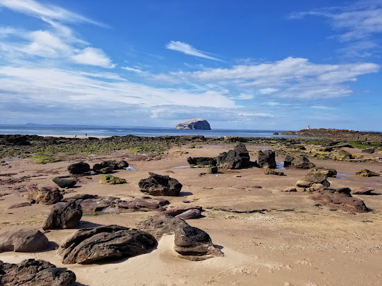 Seacliff Beach