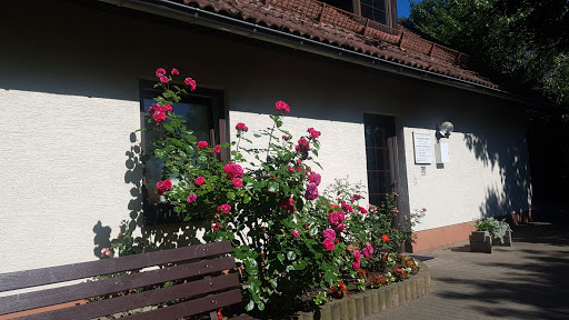 Bock Annekatrin unter Ebersbach, Sachsen