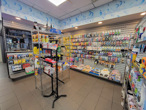 Car Wash «Great Neck Car Wash Ltd», reviews and photos, 790 Northern Blvd, Great Neck, NY 11021, USA