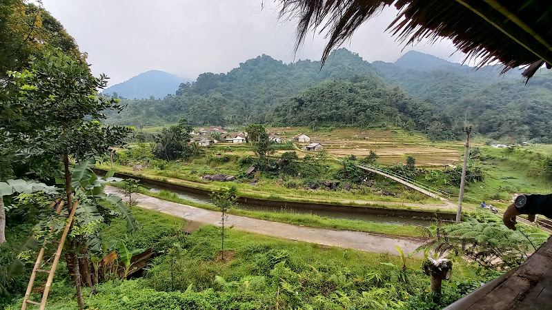 Hutan Wakaf Bogor 1