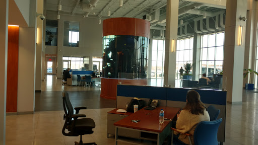 Used Car Dealer «Rockie Williams Premier Dodge Chrysler Jeep Ram», reviews and photos, 600 Pleasant Grove Rd, Mt Juliet, TN 37122, USA