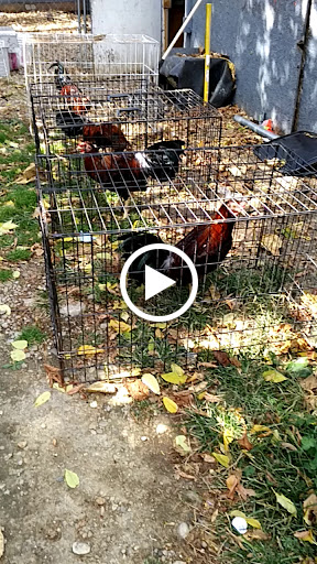 Park «Rapid Run Park», reviews and photos, 4450 Rapid Run Rd, Cincinnati, OH 45205, USA