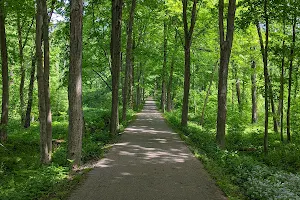 Bliss Woods Forest Preserve image