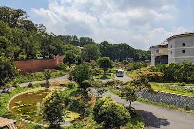 サファリ橋