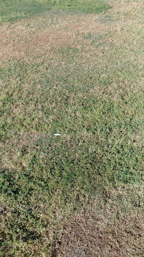 Park «Hudson Park», reviews and photos, 1430 S Cedar St, Tempe, AZ 85281, USA