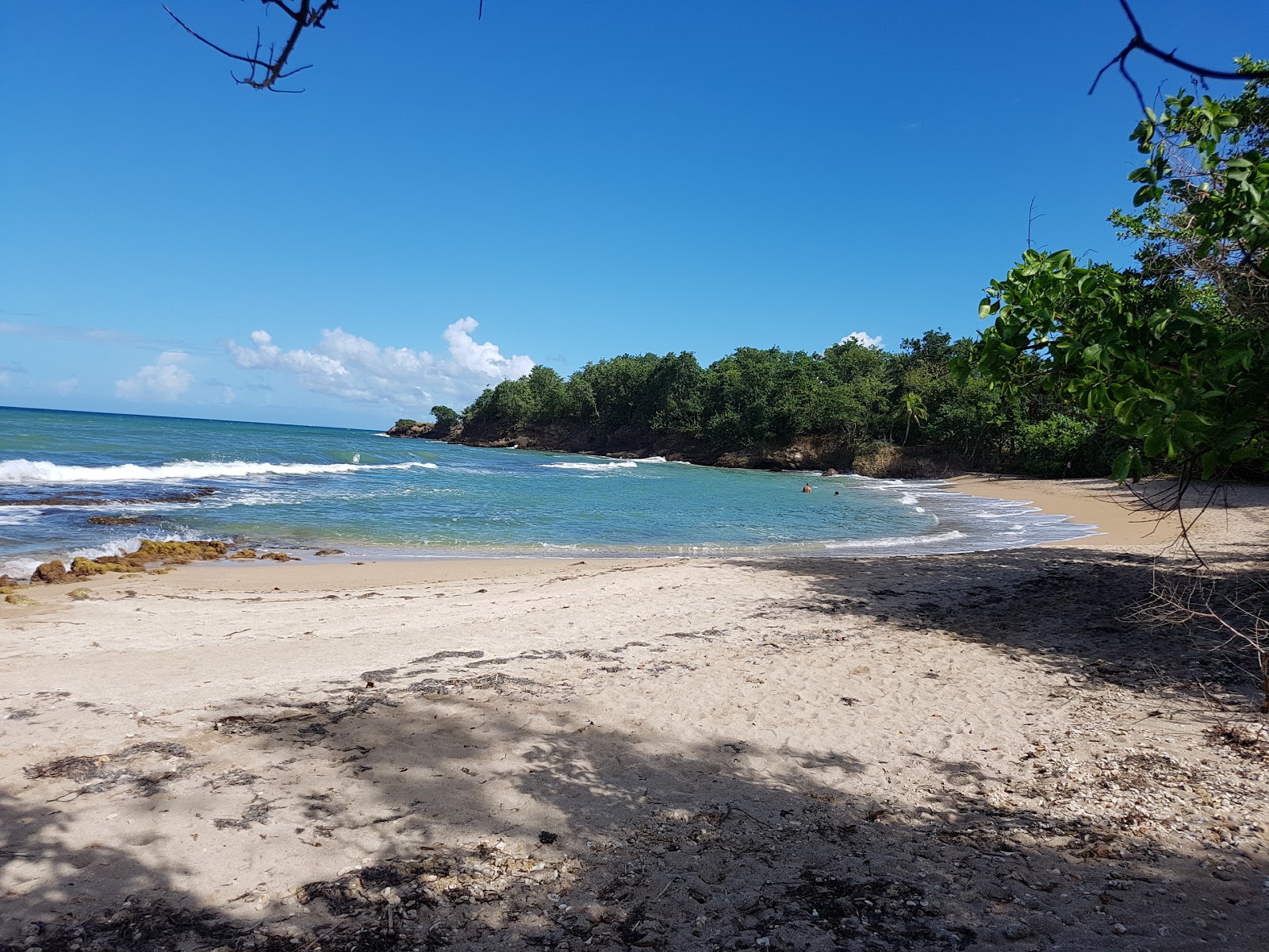 Fotografija Plage de Nogent divje območje