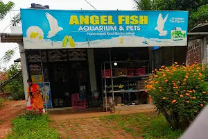 Angel Fish Aquarium And Pets image