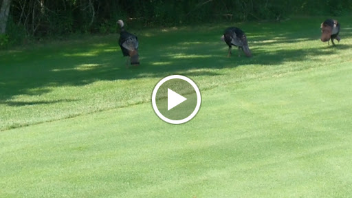 Golf Course «Glenview Golf Course», reviews and photos, 10965 Springfield Pike, Cincinnati, OH 45246, USA