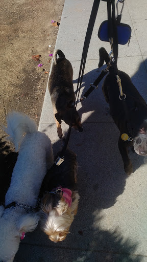 Pet Supply Store «Unleashed by Petco», reviews and photos, 1402 Wilshire Blvd, Santa Monica, CA 90403, USA