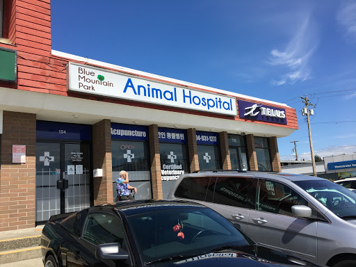 Blue Mountain Park Animal Hospital image