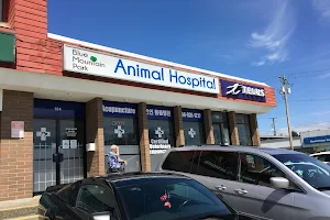 Blue Mountain Park Animal Hospital image