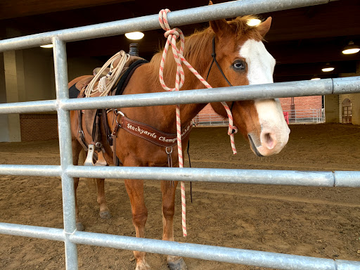 Tourist Attraction «Stockyards Championship Rodeo», reviews and photos, 121 E Exchange Ave, Fort Worth, TX 76164, USA