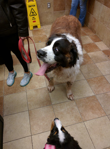 Pet Supply Store «PetSmart», reviews and photos, 114 Commerce Way, Woburn, MA 01801, USA