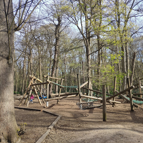 Comments and reviews of Highwoods Country Park