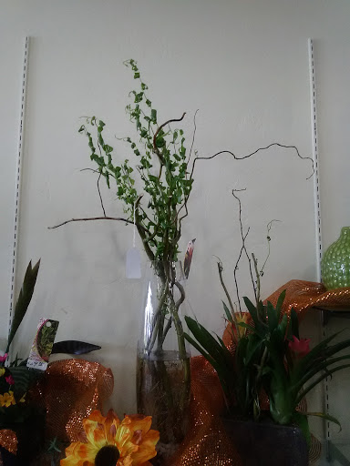 Florist «Casas Adobes Flower Shop», reviews and photos, 7090 N Oracle Rd #194, Tucson, AZ 85704, USA