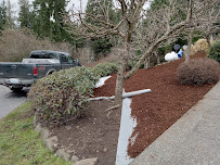 Zacarias Landscaping - Photo 4 - Car repair in , Bremerton