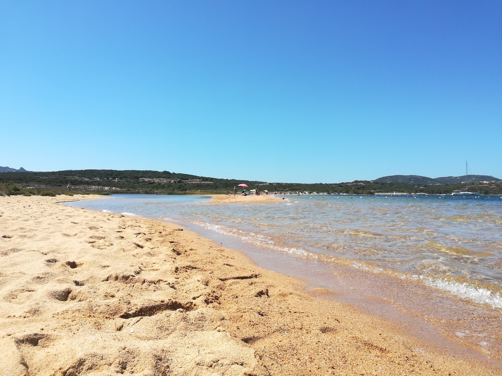 Padula Piatta'in fotoğrafı vahşi alan