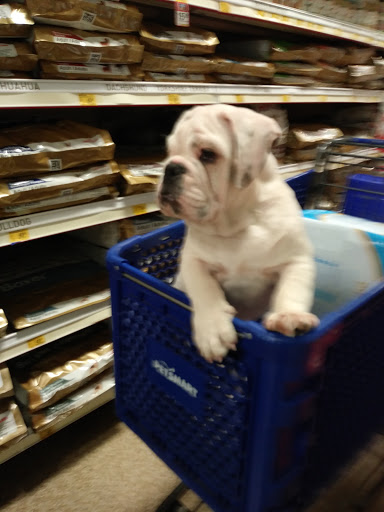 Pet Supply Store «PetSmart», reviews and photos, 12483 Limonite Ave, Mira Loma, CA 91752, USA