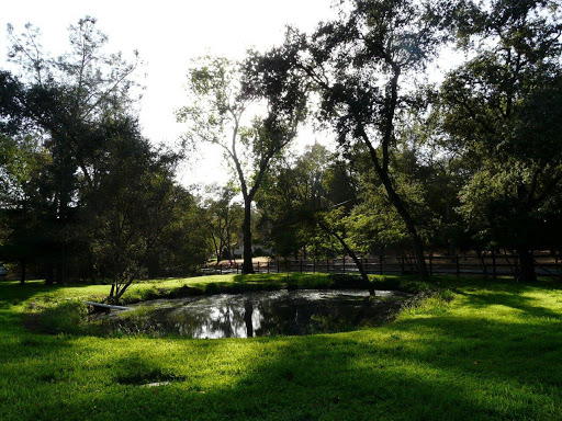 Real Estate Agents «Re/Max Gold - Chad Phillips», reviews and photos, 2998 Douglas Blvd #125, Roseville, CA 95661, USA