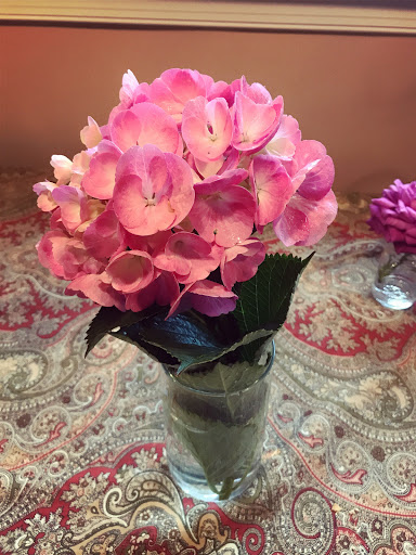 Florist «Dutch & Olgas Greenhouse», reviews and photos, 1285 NJ-36, Hazlet, NJ 07730, USA