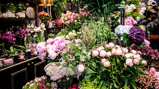 Opinii despre Charline Pritscaloff în Roanne - Fleuriste