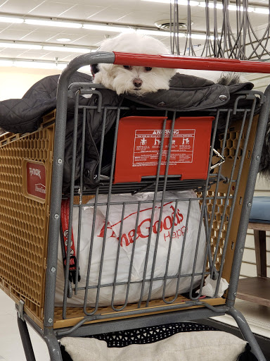 Department Store «HomeGoods», reviews and photos, 344 W Army Trail Rd, Bloomingdale, IL 60108, USA