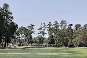 Hernando Oaks Golf Club image