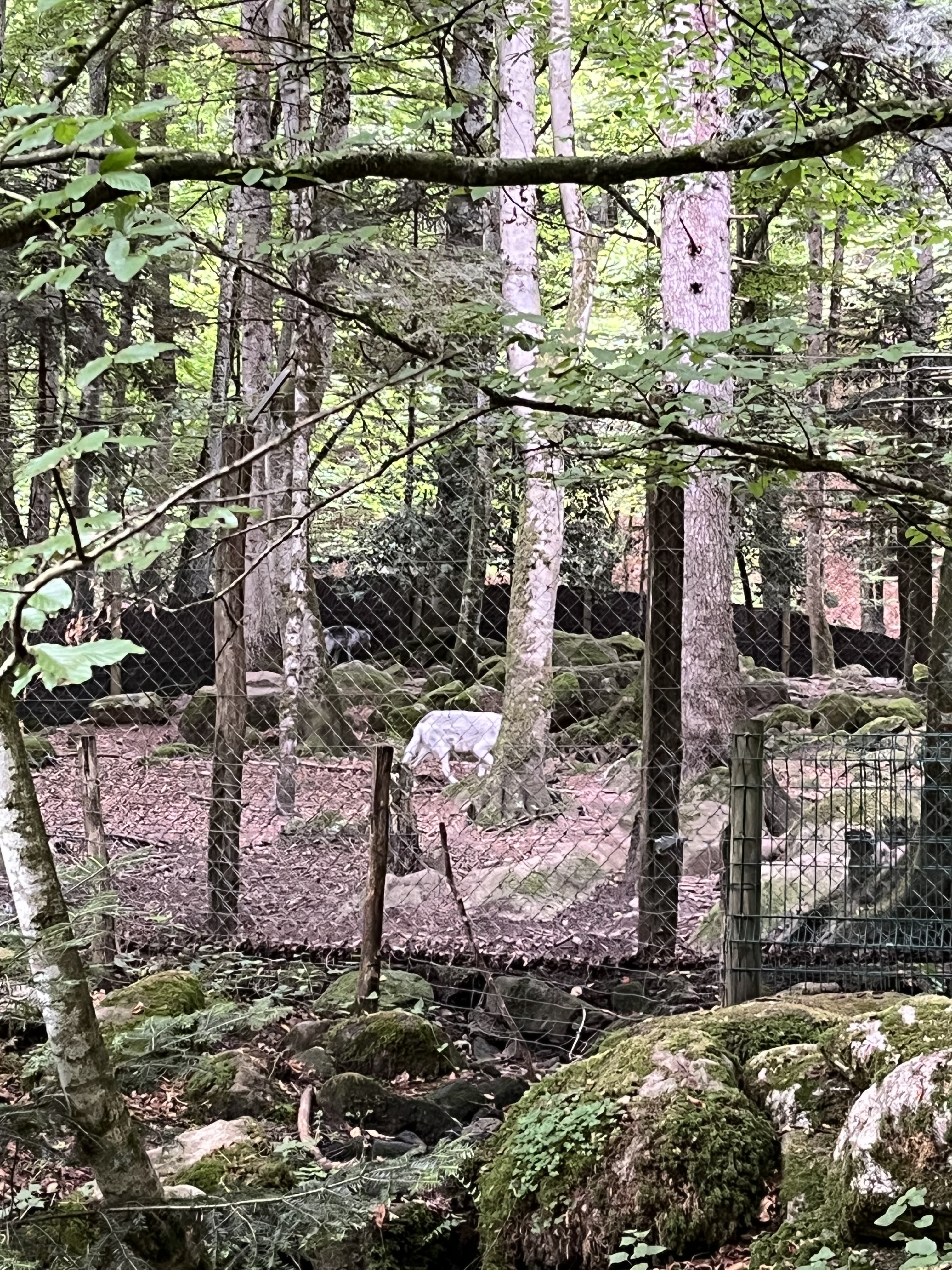 Photo n° 8 de l'avis de manuel. fait le 22/07/2023 à 09:46