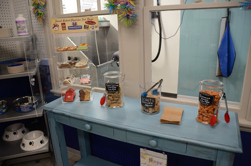 Pet Groomer «Blue Ribbon Dog Grooming LLC Anderson», reviews and photos, 5038 S Scatterfield Rd, Anderson, IN 46013, USA