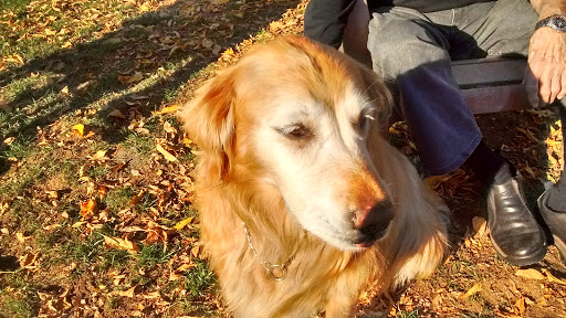 Park «Gabriel Park», reviews and photos, SW 45th Ave & Vermont Street, Portland, OR 97219, USA