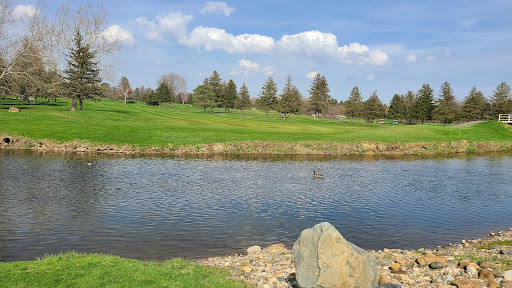 Golf Club «Pine Valley Golf & Country Club», reviews and photos, 16801 31 Mile Rd, Ray, MI 48096, USA