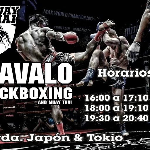 Cavalo kick boxing and muay thai