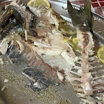 Photo n°2 de l'avis de Carlotta.e fait le 21/08/2021 à 23:33 sur le  Pizzeria Friggitoria Ristorante Friggo & Mangi à Mola di Bari