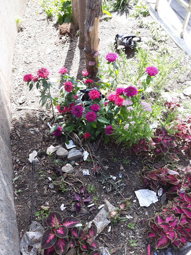 Park «Park Of The Americas», reviews and photos, 42nd Ave & 104th Street, Corona, NY 11368, USA