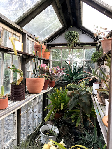 Gift Shop «GENERAL STORE», reviews and photos, 4035 Judah St, San Francisco, CA 94122, USA