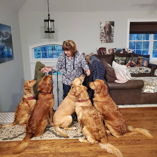 Mahopac Animal Hospital image