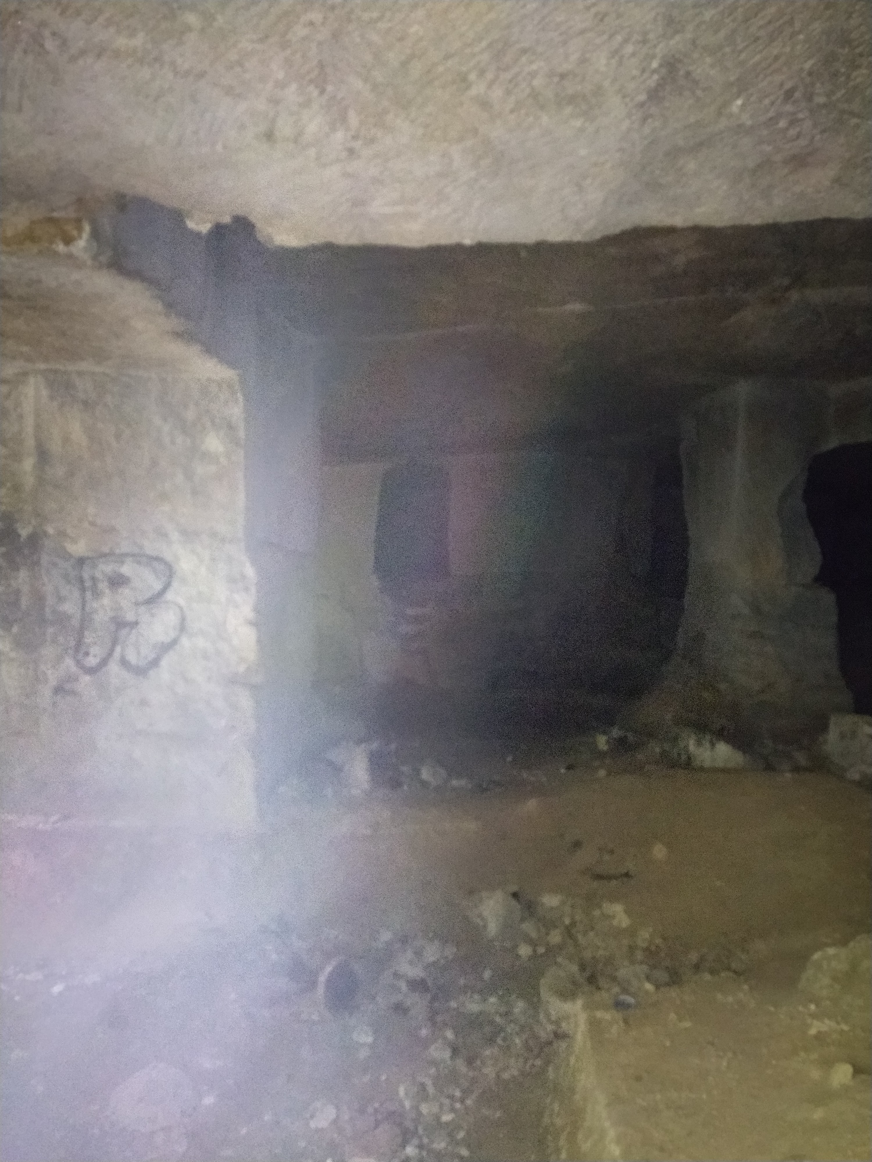 Photo n° 4 de l'avis de Merijn. fait le 19/10/2023 à 15:37