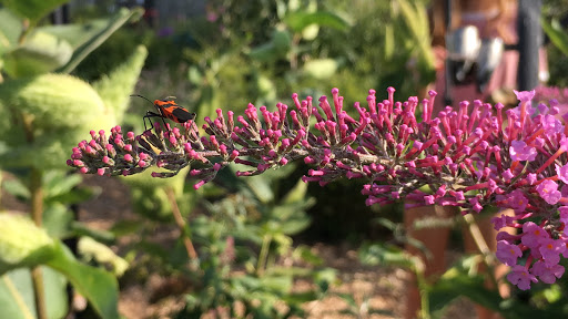 Nature Preserve «Meigs Point Nature Center», reviews and photos, 1288 Boston Post Rd, Madison, CT 06443, USA