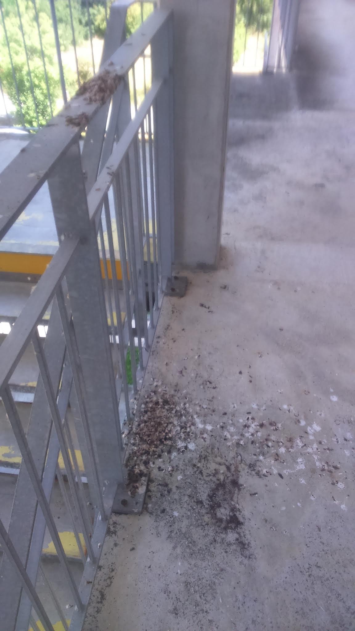 Photo n° 2 de l'avis de Evy.. fait le 18/07/2018 à 14:02